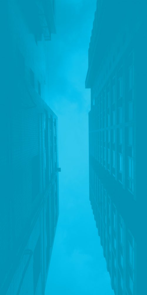 window films and graphics business branding logo sample