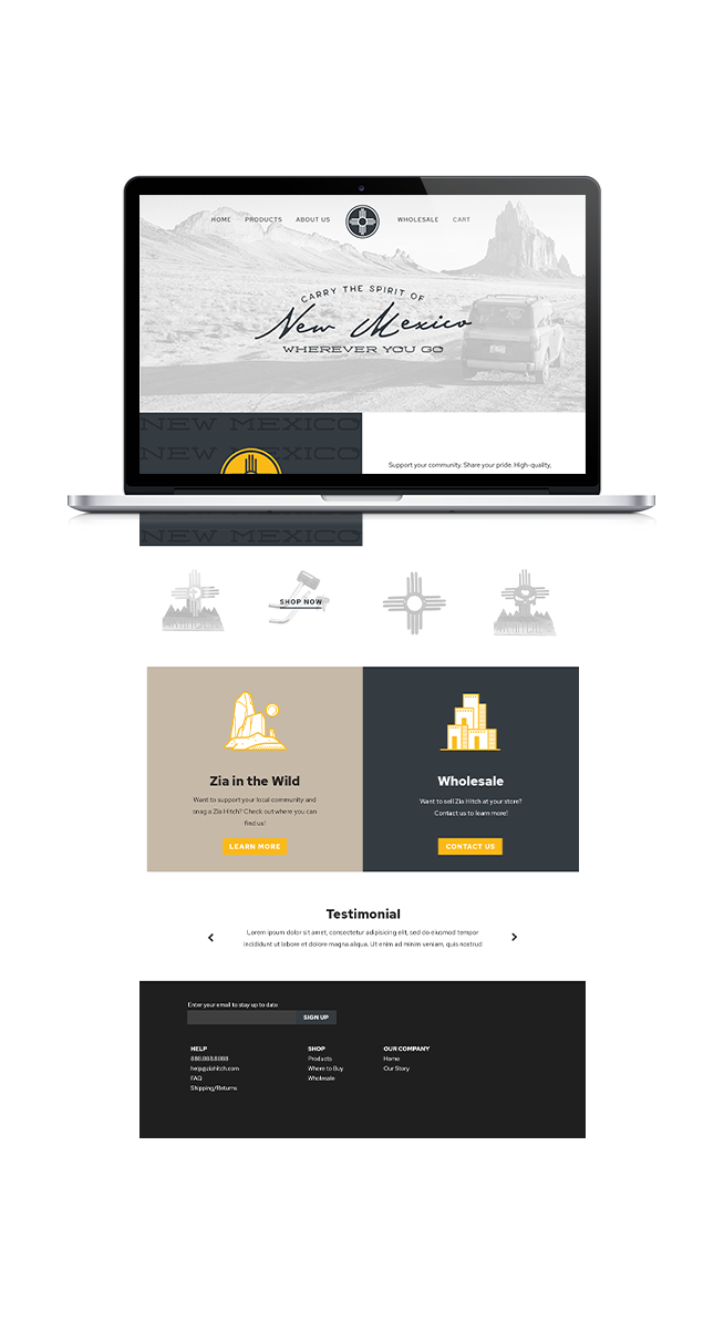 web design and development for ecommerce startup