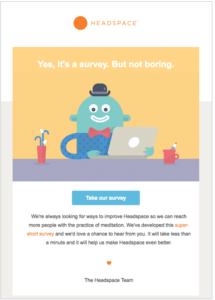 Headspace customer survey